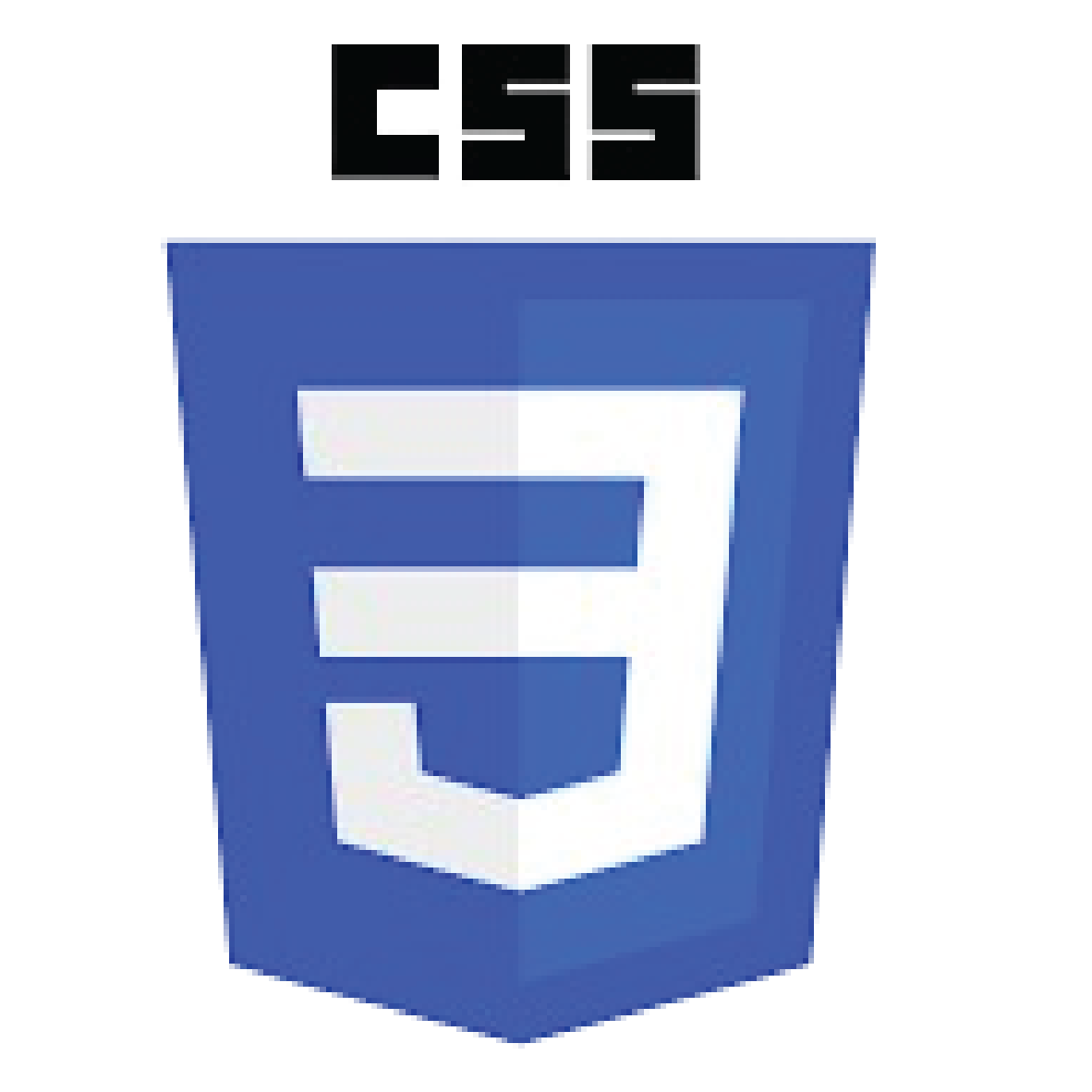 CSS logo
